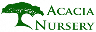 Acacia Nursery Logo